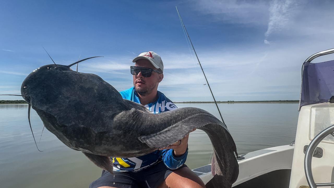 Catfish